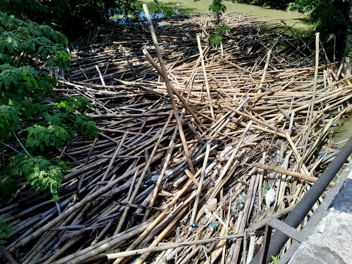 Blockage at the Riley River Bridge in Lucea