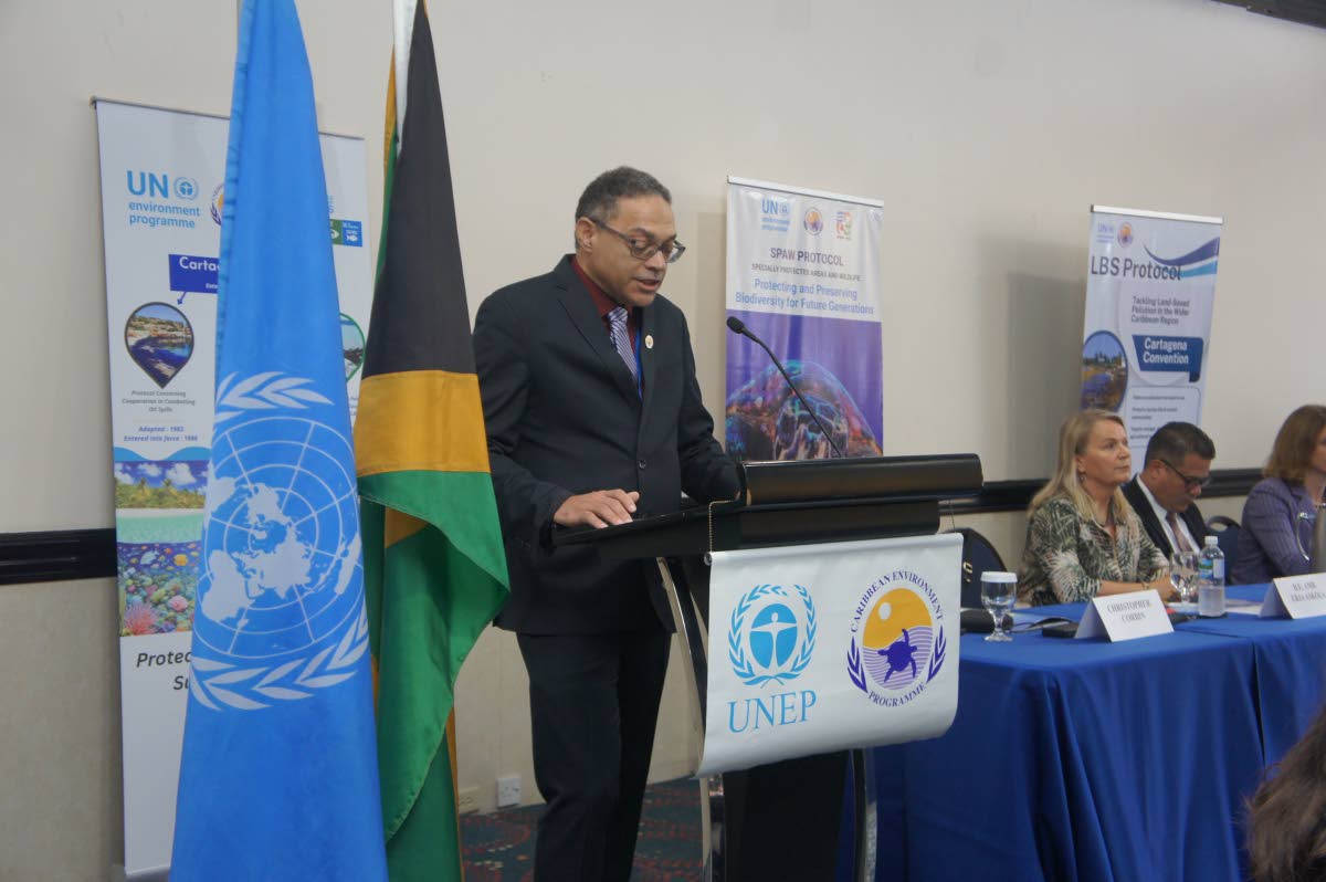 Christopher Corbin, coordinator for the UNEP Cartagena Convention Secretariat and Caribbean Environment Programme, addressing delegates at COP18 earlier this week.