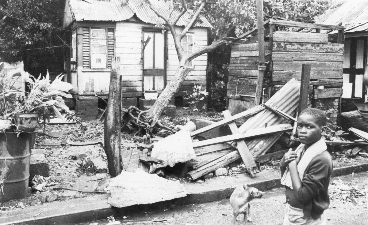 Where is our house? That was what this youngster asked when he returned home after Hurricane Gilbert passed.
