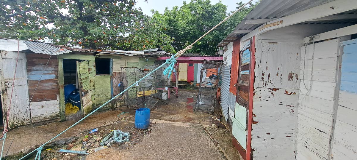 Informal seaside settlement near Portland’s old marina.
