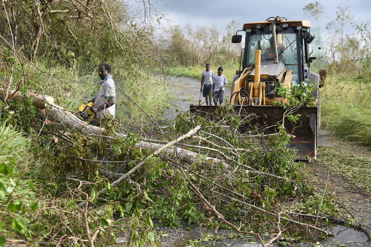 A backhoe driver and other volunteers clear fallen trees blocking the Clark's Town to Daniel Town main road in Trelawny.