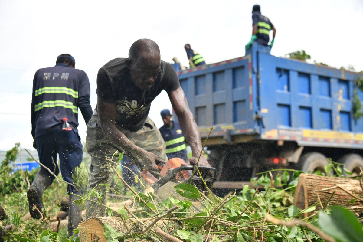 Personnel from China Harbour Engineering Company Limited and the National Solid Waste Management Authority remove a fallen tree on Mandela Highway near the entrance to Portmore, St Catherine.