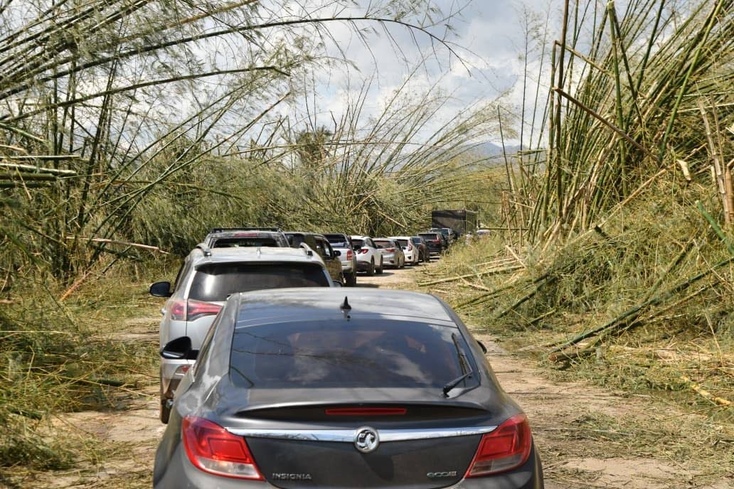 Motorists wait for the clearance of Bamboo Avenue, popularly known as Holland Bamboo, in St Elizabeth following Hurricane Melissa.