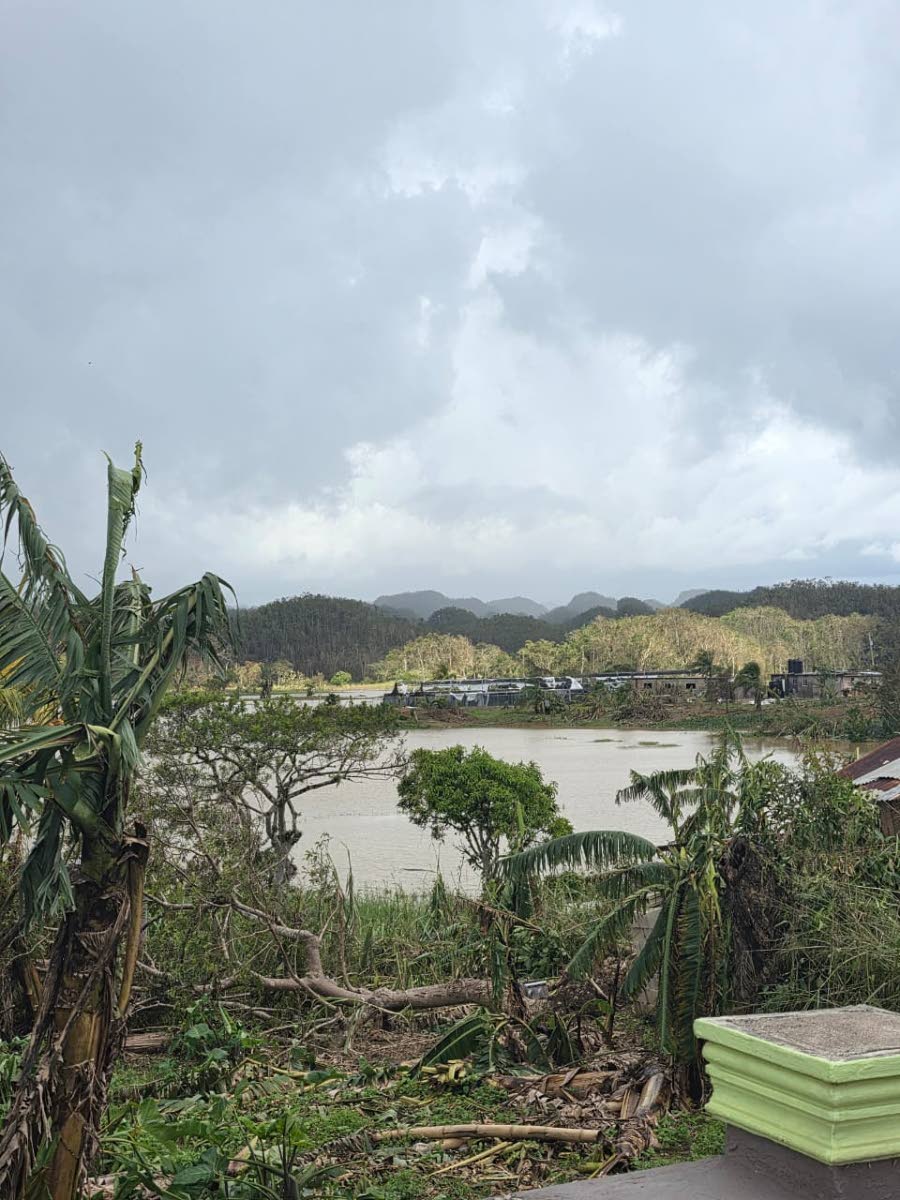 A section of Bog Hole under water in Clarendon.