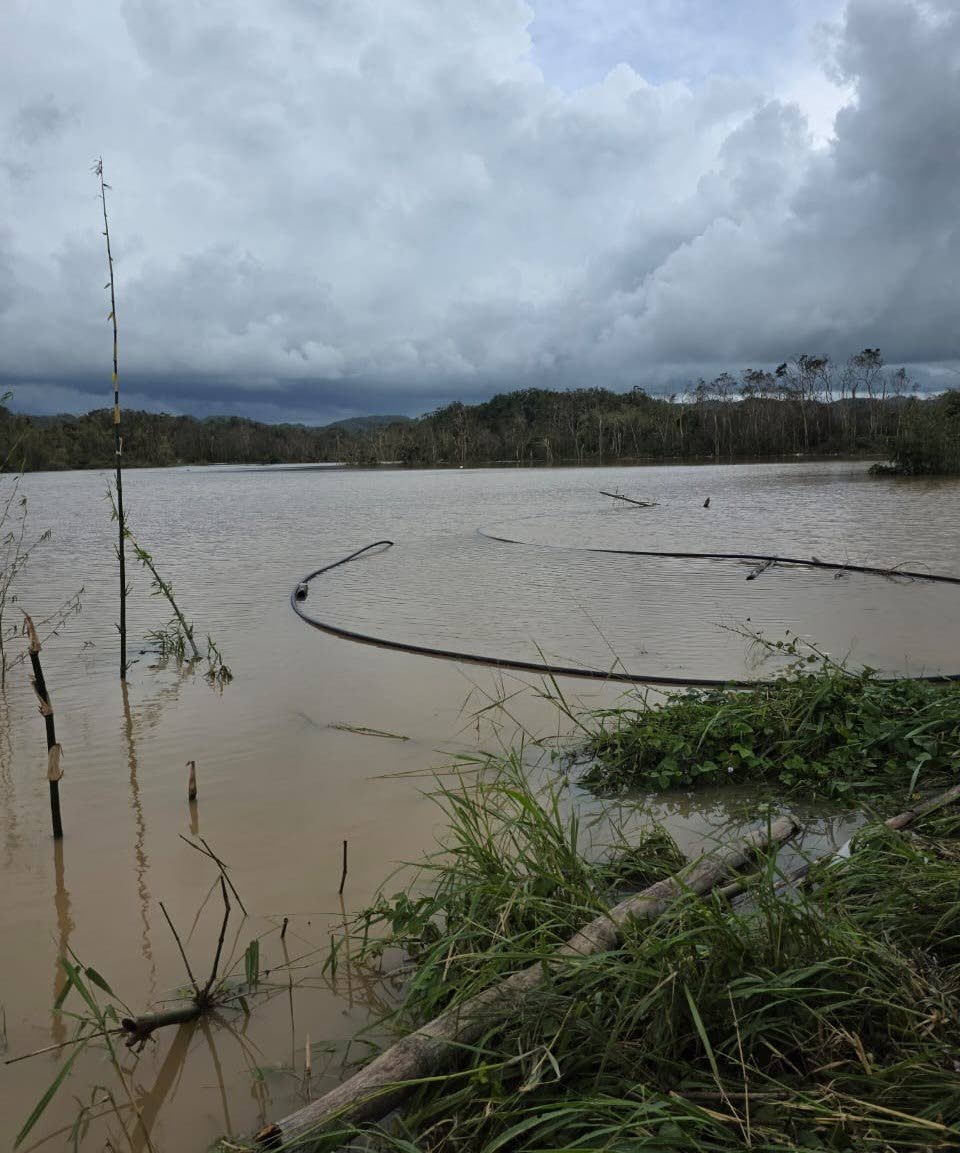 A section of Bog Hole under water in Clarendon.