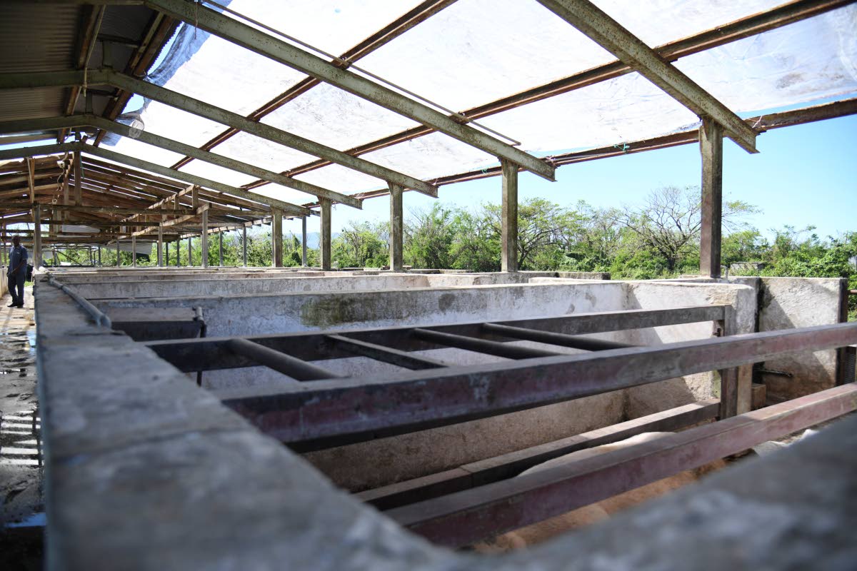 A roofless section of a farm building at Sydney Pagon STEM Academy.