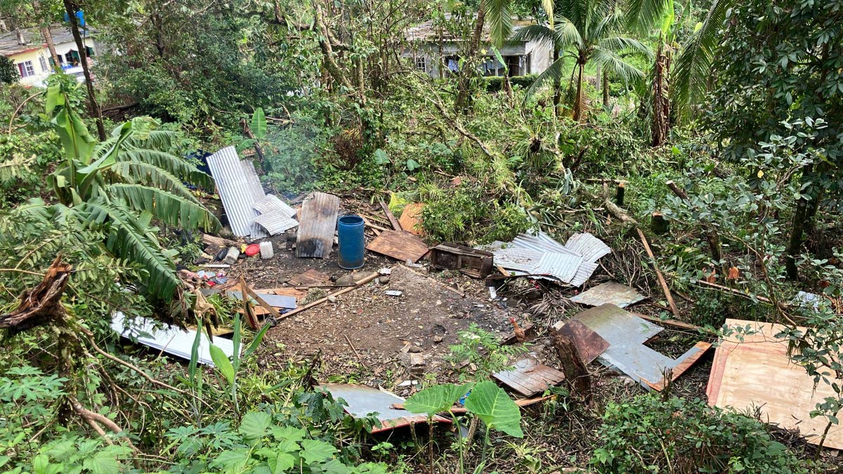 Site of a former house in Moore Town, Portland’s Rio Grande Valley, before Hurricane Melissa struck.