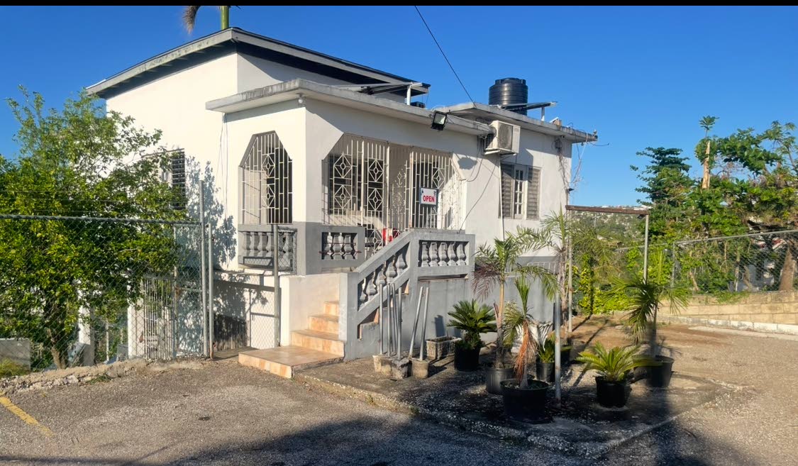 Bryan’s Veterinary Clinic on Coke Avenue in Brandon Hill, Montego Bay, St James.