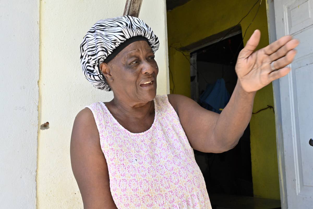 Joyce Wallace says the move from Kintyre, St Andrew, to West Albion, St Thomas, gave her a fresh start.