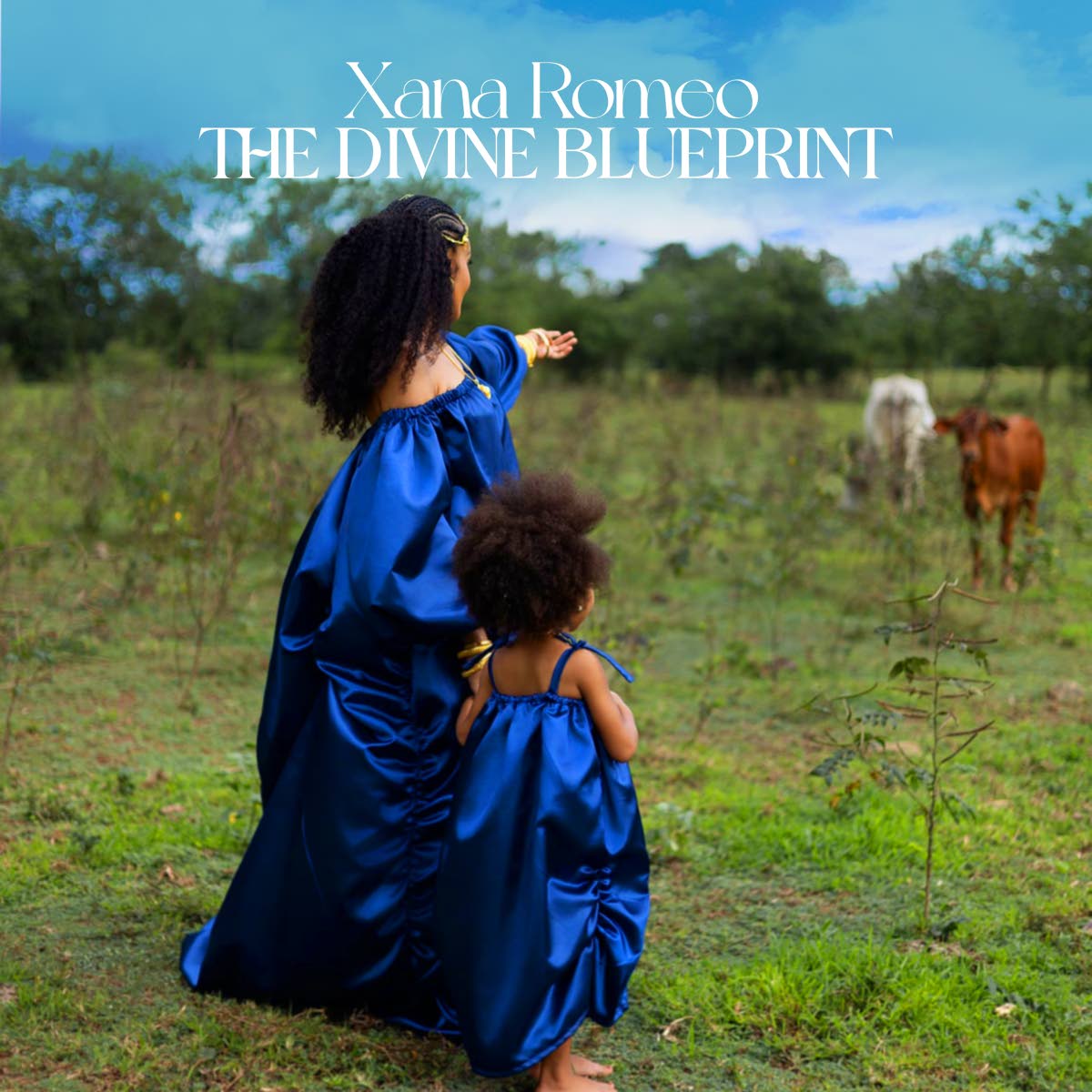 
The cover of ‘The Divine Blueprint’ by Xana Romeo.