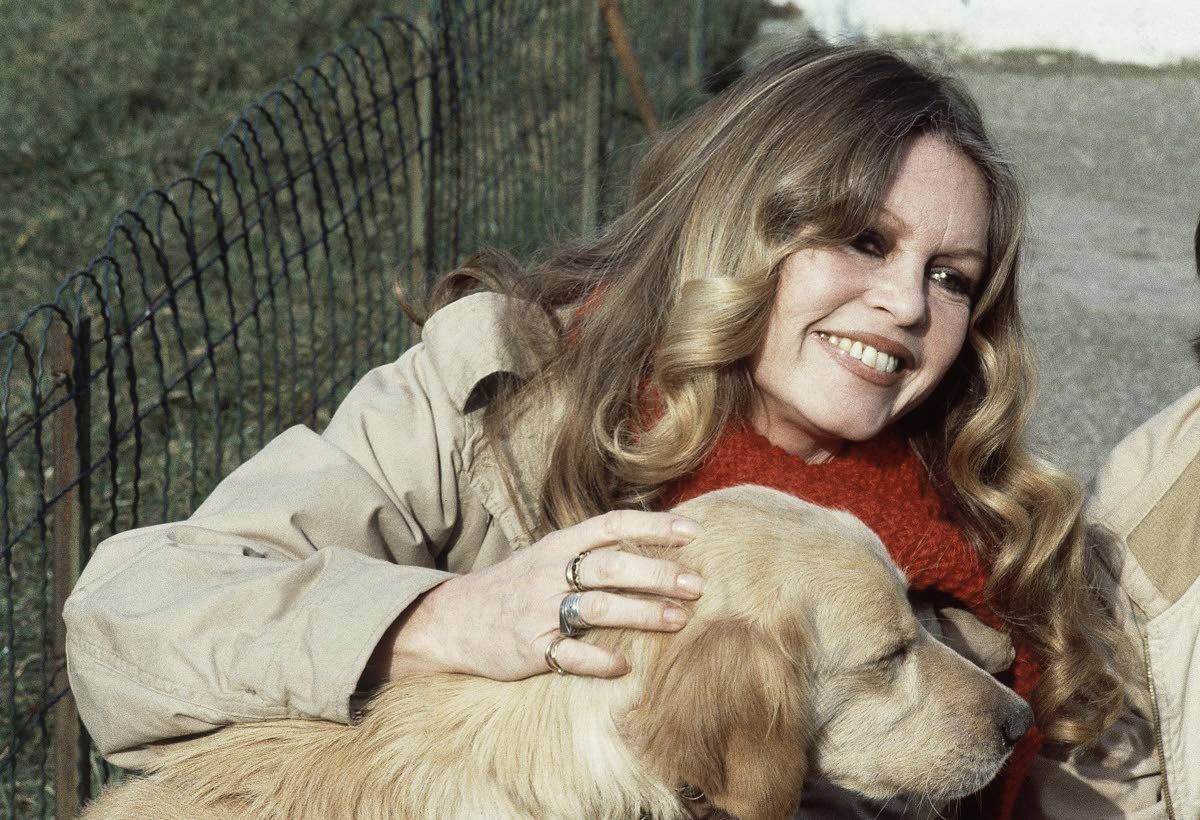 Brigitte Bardot with a dog in the Gennevilliers, Paris, while supporting the French animal protection society operation, February 10, 1982. 