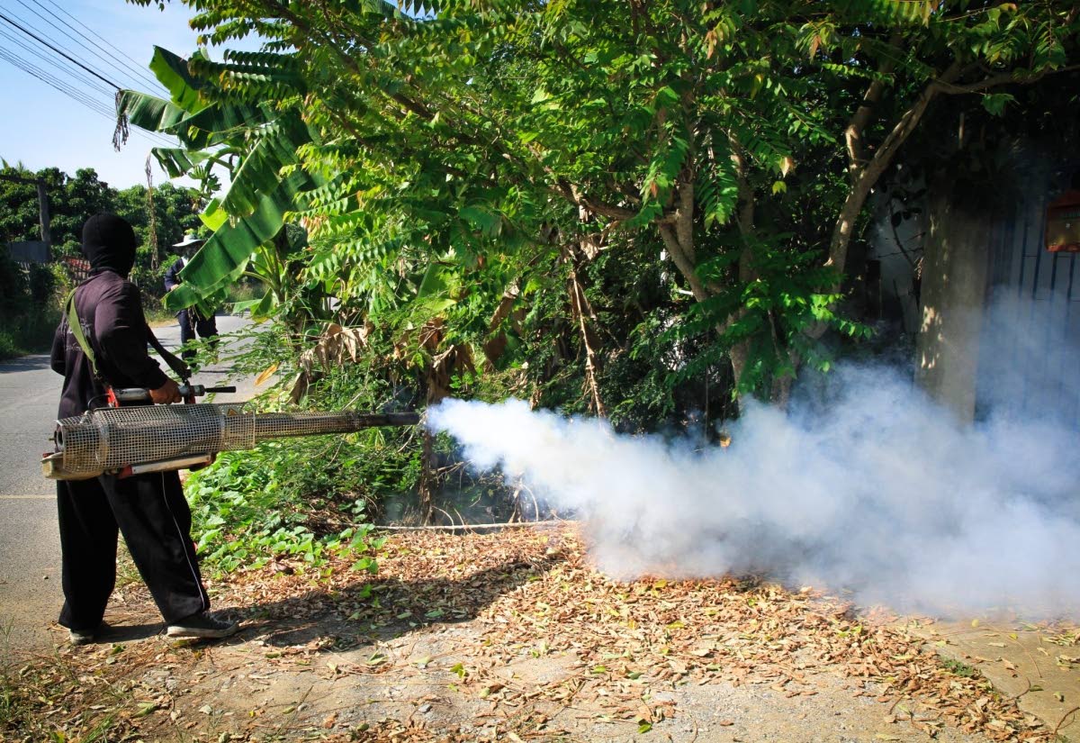 Fogging being conducted to destroy a mosquito-breeding site.
