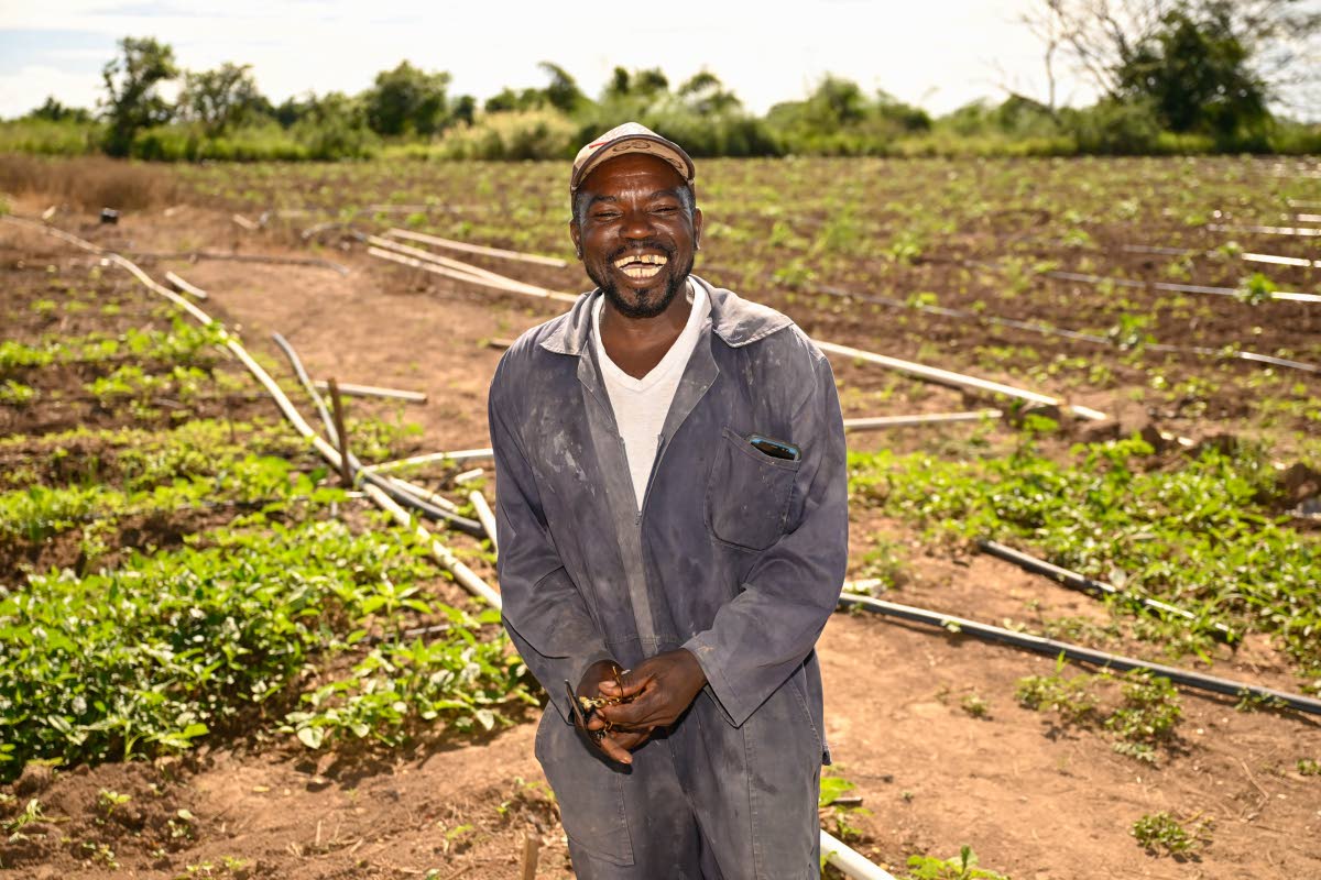 Farmer Noel Reid smiles for the camera despite reflecting on the over $4-million damage to his crops and farming equipment caused by Hurricane Melissa. 