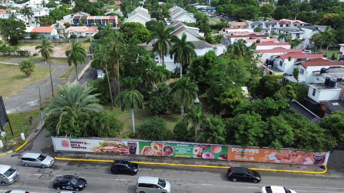 Property located at 4a Waterloo Road (Ricardo Makyn-Photo)