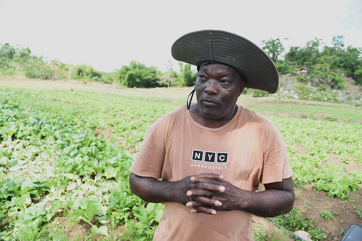 Patrick Blair, a farmer in Bog Hole, Clarendon.