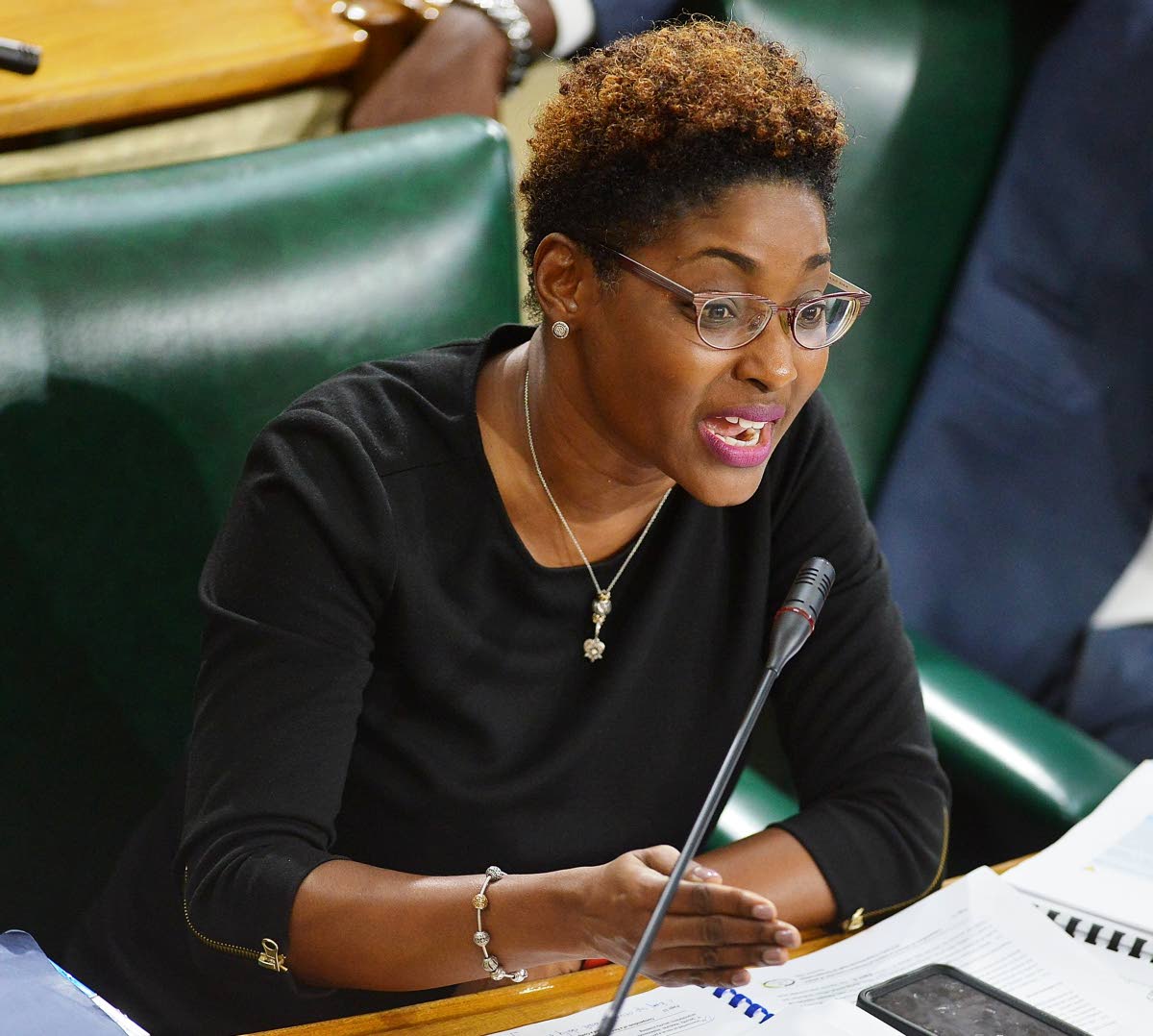 Auditor General Pamela Monroe Ellis.