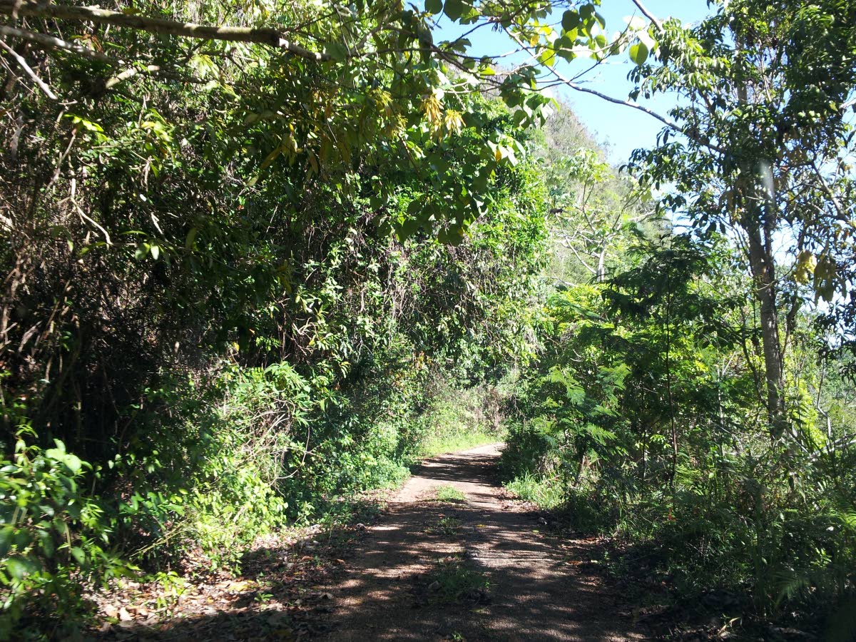 Cockpit Country reserve