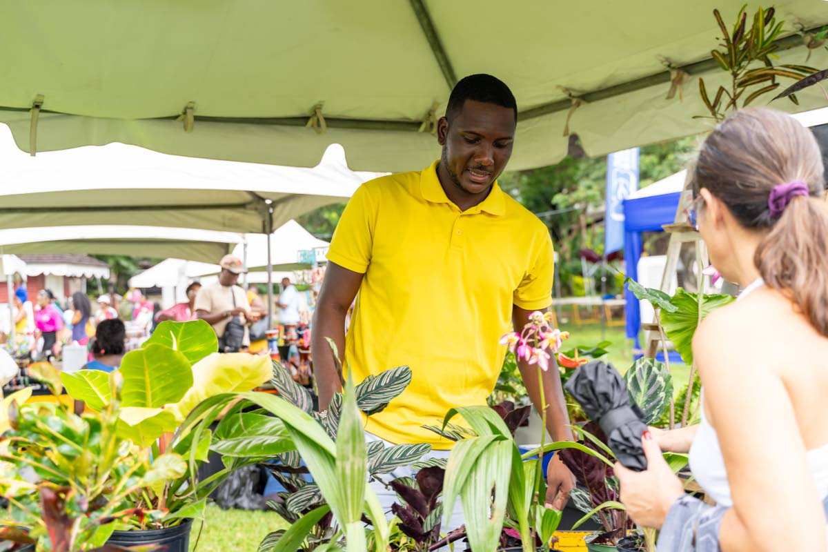 Anand Kumar, owner, Eclipse Florals and Plant Store, assists a plant collector to make a selection at Market on the Lawn in Kingston where five merchants were given the opportunity to display and sell their products by NCB.