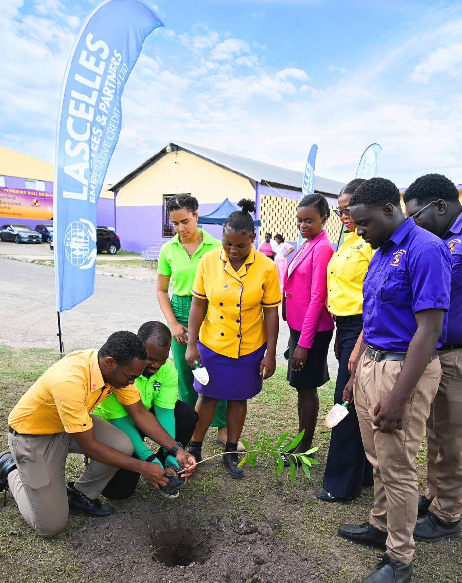 Pembroke Hall High School received fruit trees through the LEPCCU Tree Planting Initiative to support the school’s Beautification Project. Donated plants included ackee, apple, Java plum, seagrape, and foxtail.
