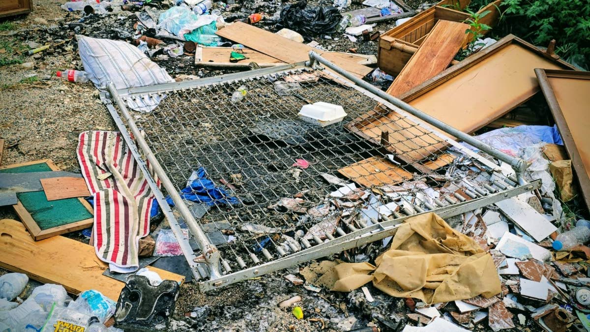 Garbage pileup in the vicinity of Waltham Park Road. 