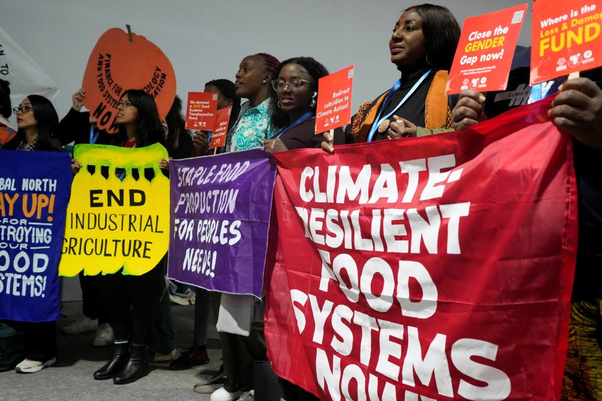 Activists participate in a demonstration for transforming food systems at the COP29 UN Climate Summit, Tuesday, November 19, 2024, in Baku, Azerbaijan. 
