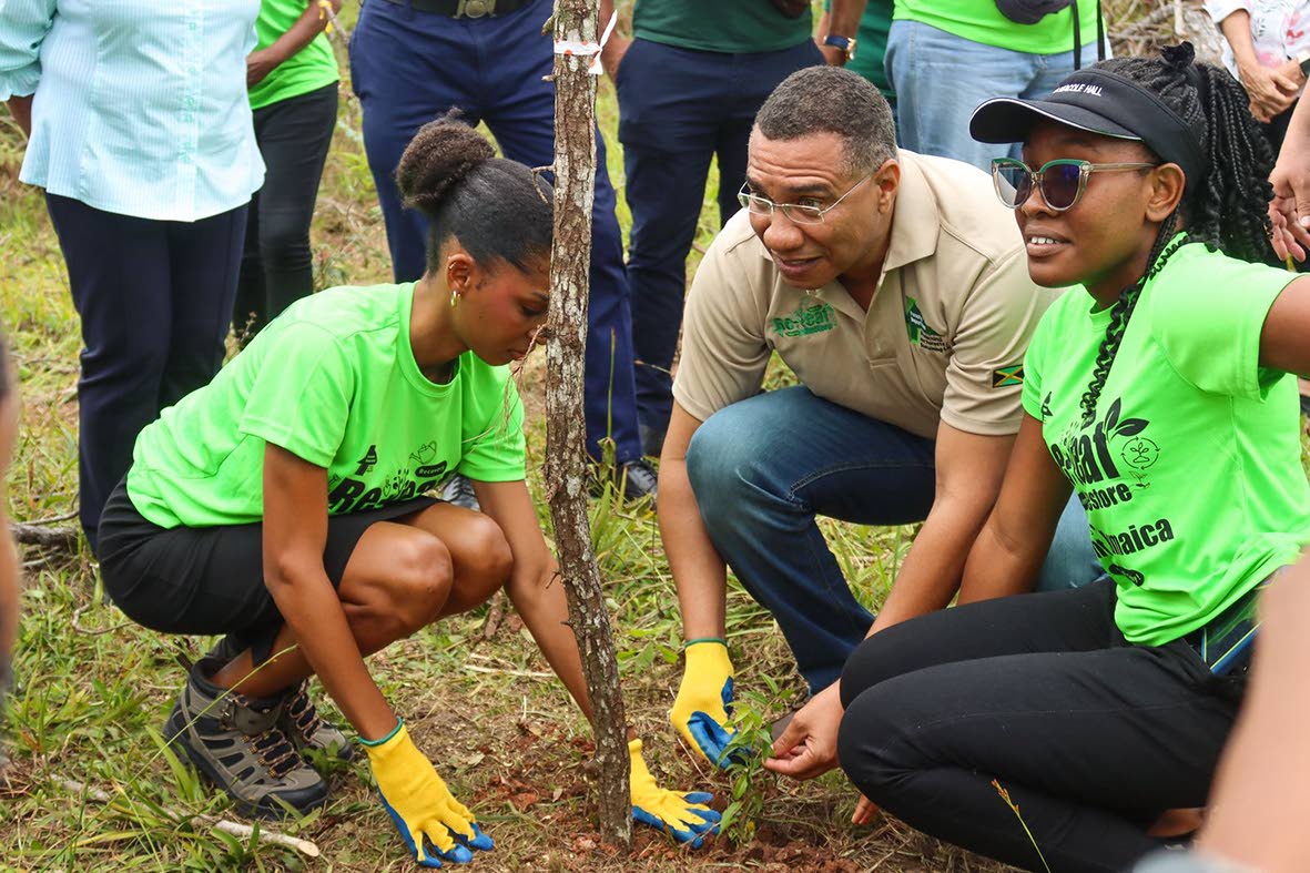 Prime Minister Dr Andrew Holness is assisted by two volunteers in planting a tree in Lowe River Forest, Trelawny yesterday.