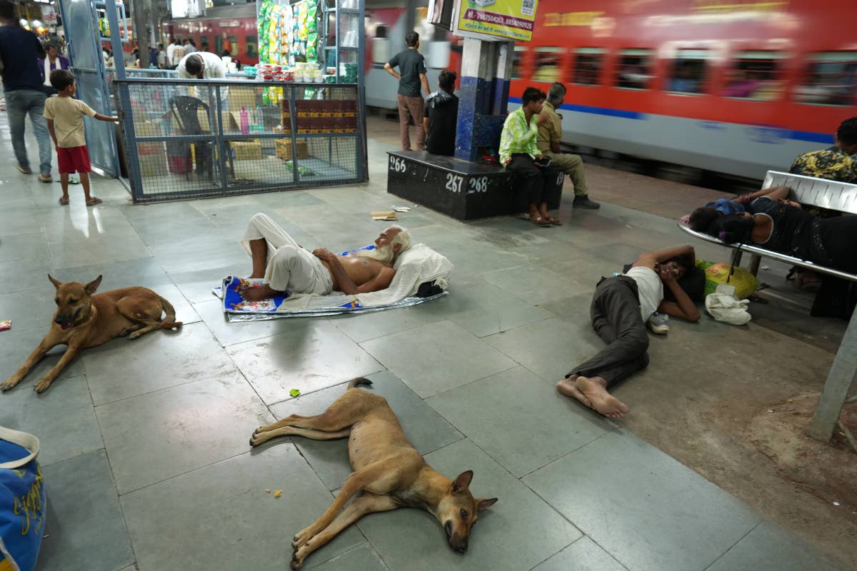 Residents and stray dogs rest on the platform of a railway station to escape the heat in Banda, northern Indian state of Uttar Pradesh.