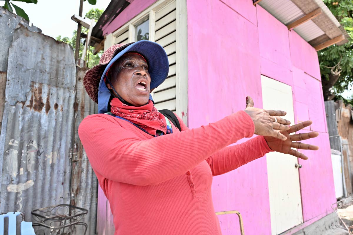 Diana Brown, a Waterhouse resident whose house suffered damage from floodwaters a few years ago, is calling for urgent repairs to compromised sections of the Sandy Gully.
