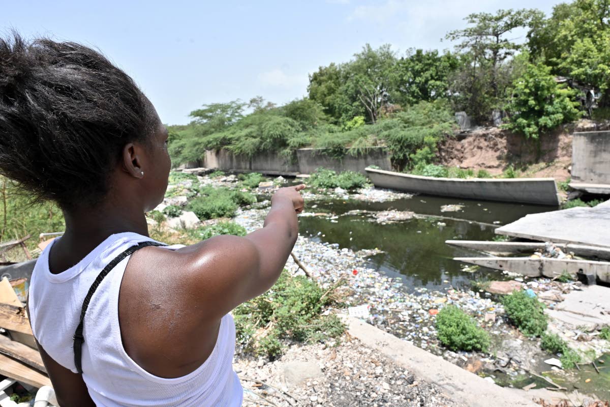 A resident shows a compromised section of the banks of the neglected Sandy Gully and shrubs and debris in the gully bed.