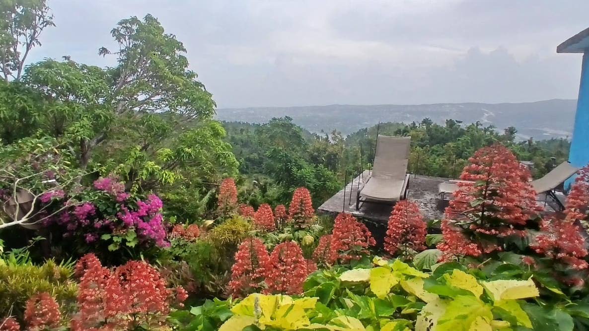 The rich flora at Ahhh Ras Natango Art Gallery and Gardens in Montego Bay, St James.