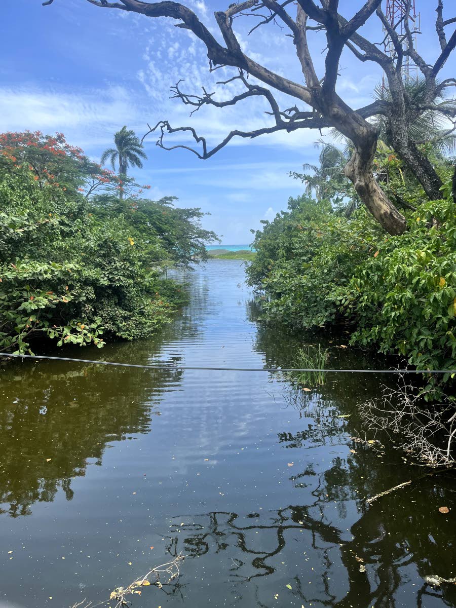 
Somewhere in Morant Bay, St Thomas.