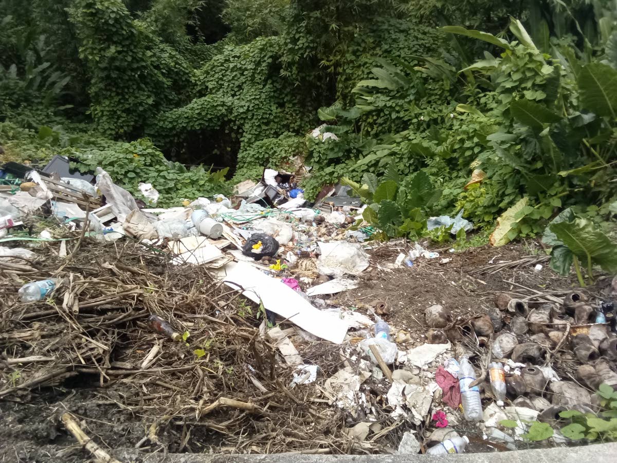 Rio Grande Valley dumping ground.