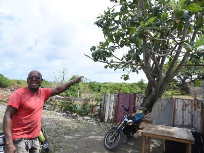
Carlton ‘Buggy’ Watson, another resident, claimed to have planted breadfruit trees on the land and said he had occupied it for more than two decades. 
