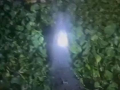 Screenshot of video of stoning of crocodile