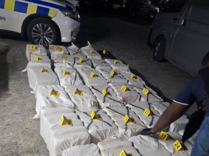 A large quantity of ganja seized by the police in Morant Bay, St Thomas on October 1.