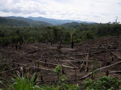 
Cut down trees lie within view of the Cordillera Azul National Park, seen in the background near Chambira community, in Peru’s Amazon, October 3, 2022.