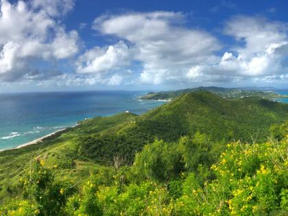 St Croix view from a hilltop. 