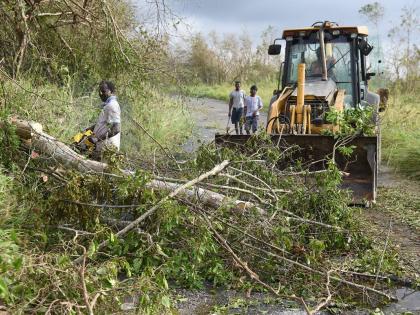 A backhoe driver and other volunteers clear fallen trees blocking the Clark's Town to Daniel Town main road in Trelawny.