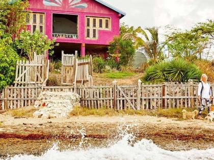 Sally Henzell’s seaside cottage is pictured in 2020. 