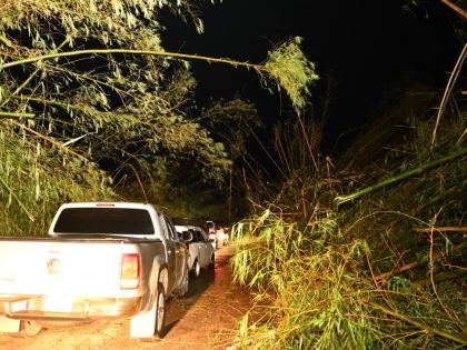 Backed-up traffic with motorists spending hours trying to make their way through Holland Bamboo in St Elizabeth last Thursday after Hurricane Melissa battered the western section of the island. 
