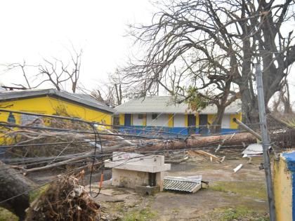 This photo taken on November 3 shows a collapsed fence, uprooted powerlines and trees at Ferris Primary School in Westmoreland.