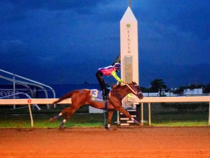 Anthony Minott/Freelance Photographer 
ZULU WARRIOR, ridden by Tyreese Anderson, wins the United Racehorse Trainers Association of Jamaica Trophy over six-and-a-half furlongs at Caymanas Park yesterday.