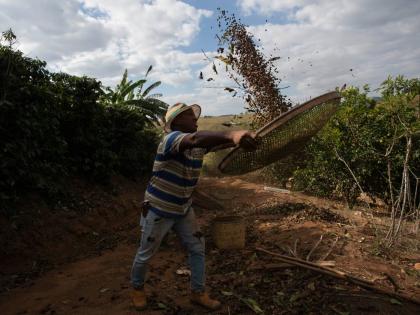 Coffee producer Jose Natal da Silva sifts coffee beans on his farm in Porciuncula, Rio de Janeiro state, Brazil, July 17, 2025.