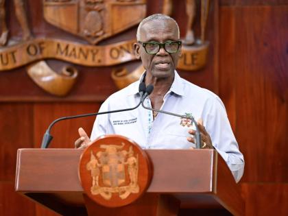 Minister of Local Government and Community Development, Desmond McKenzie.
