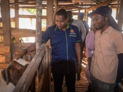 Minister of Agriculture, Fisheries and Mining, Floyd Green (left), is briefed by goat farmer, Delarno Small, during a farm tour in Bonnet District, Guys Hill, St Catherine, on November 20. Also pictured are Minister of State in the Ministry of Culture, Gen