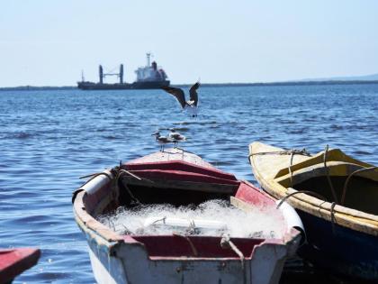 In this file photo, seagulls are seen sitting on a fishing boat at Kingston Harbour.