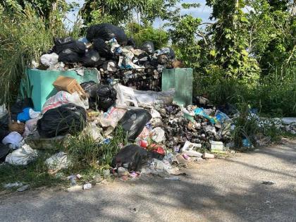 The overflowing community garbage skip in Blackstonedge, St Ann.
