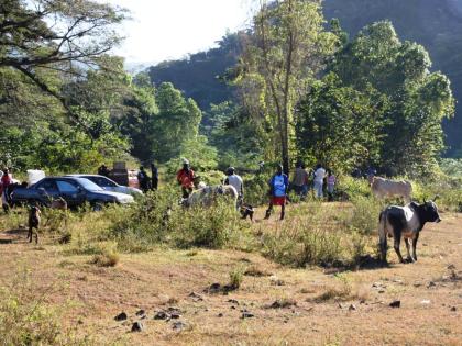 A section of the almost 300 year-old livestock market, British, nestled in the hills of Clarendon