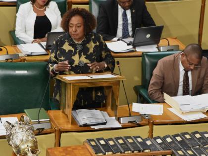 Minister of Culture, Gender, Entertainment and Sport, Olivia Grange, addresses the House of Representatives on  January 27.