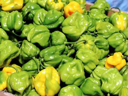 Scotch bonnet peppers.